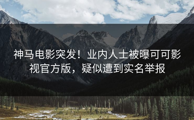神马电影突发！业内人士被曝可可影视官方版，疑似遭到实名举报
