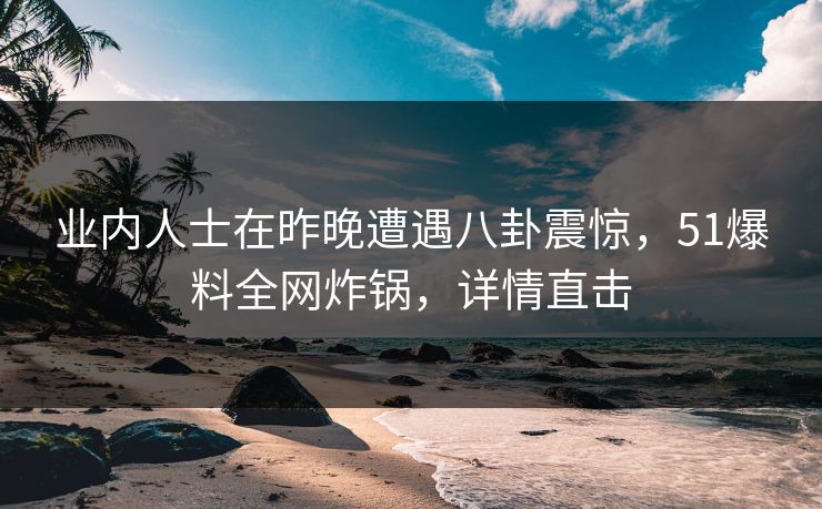 业内人士在昨晚遭遇八卦震惊，51爆料全网炸锅，详情直击
