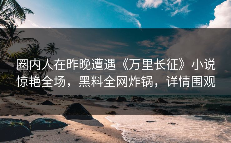 圈内人在昨晚遭遇《万里长征》小说惊艳全场，黑料全网炸锅，详情围观