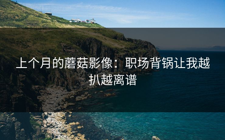 上个月的蘑菇影像：职场背锅让我越扒越离谱