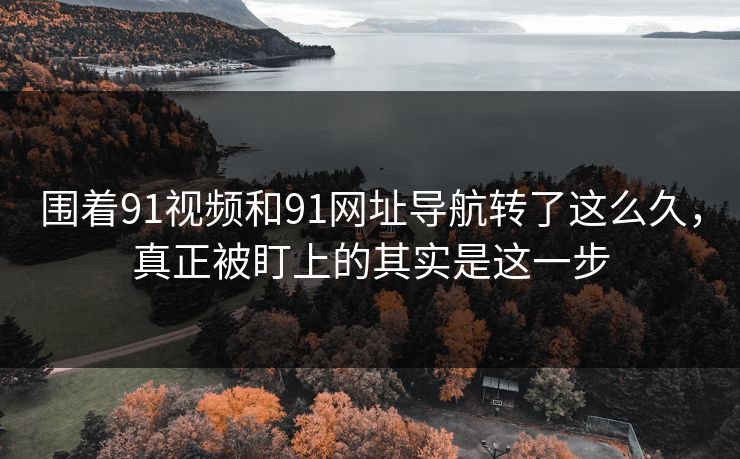 围着91视频和91网址导航转了这么久，真正被盯上的其实是这一步